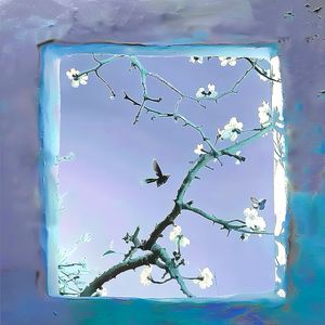 日本男同Gay片あなたはワン
