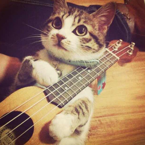 日本男同Gay片あなたはワン
